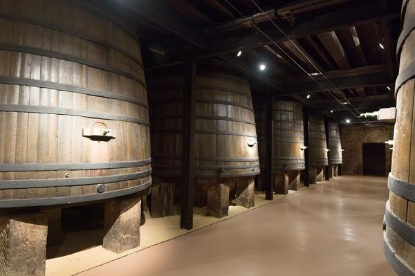 Barricas de vino